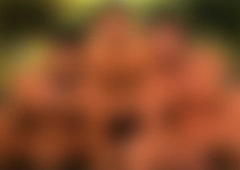 BIG PRON sample 1