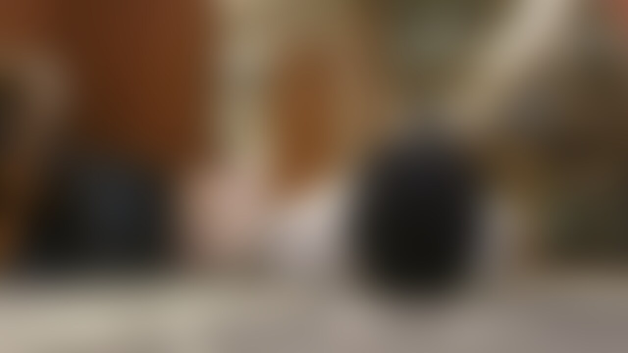 [⭐️新作 / 12分58秒⭐️]　インキャ女子のおまんこ美味しい？

清楚でおとなしめな女の子。
JDで、演劇部に所属してる。
普段はおとなしくって、あまり異性とも話さないタイプ。
でも性癖は尖ってて超ドS。
見た目可愛くておとなしそうな清楚JDがM男の顔に座ってる🤭
顔騎でたっぷり虐めてくれるよ。 (2/2)