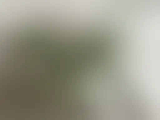 Rinaの秘密(神戸の女子大生🌃)「今日のリナの脱ぎたてパンツ🥰」の投稿サムネイル