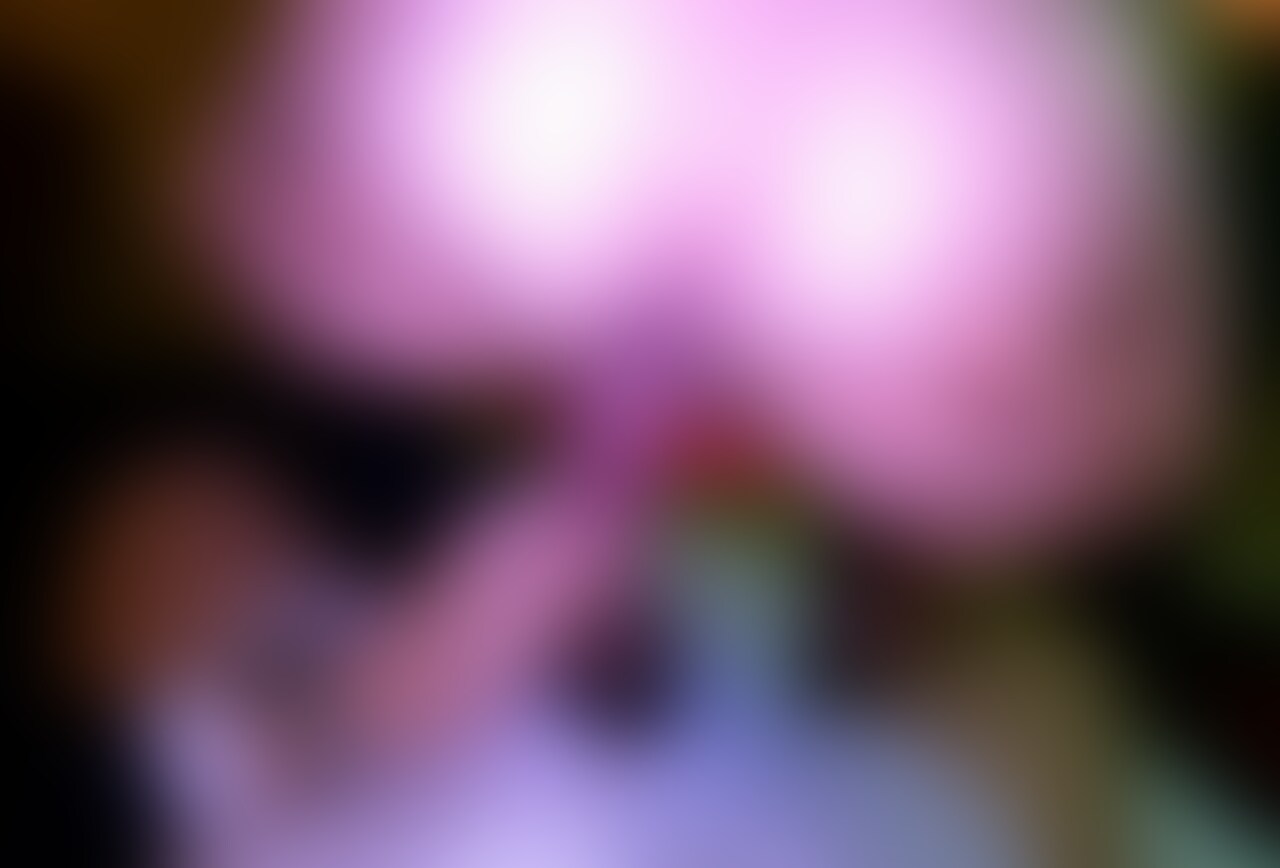 あの中●校教師の筋肉でかエロケツ○○○し！【後半】 sample 1