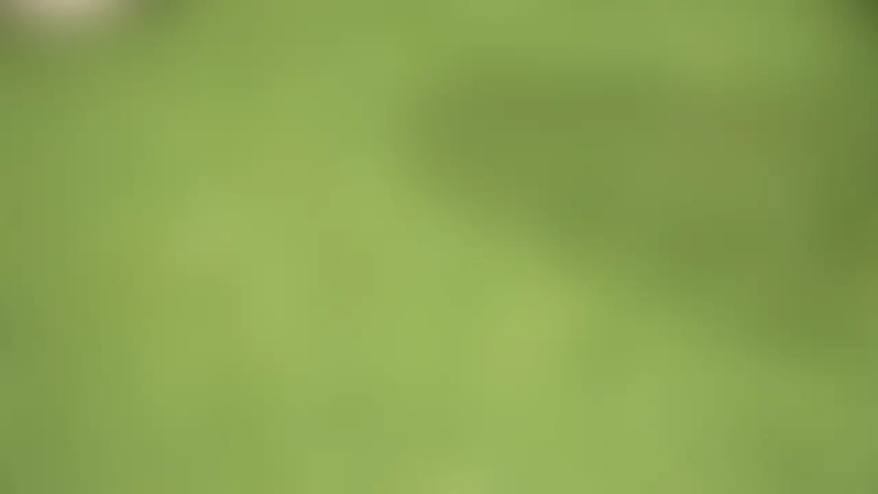 今回動画を見ていただき本当にありがとうございます。
こんな質問して欲しいなどありましたらコメント欄にてお願いします。
度を越した内容につきましては御期待に添えない場合も御座いますのでご了承下さい。
動画をいいな!と思ってくれたら、いいね!をお願いします。
また見たいなと思ってくれたら『フォロー』してくれたらモチベーションに繋がりますので是非お願いします。 (2/2)