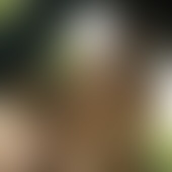 夏の思い出！逆nan撮影Part１！湘南編！ sample 1
