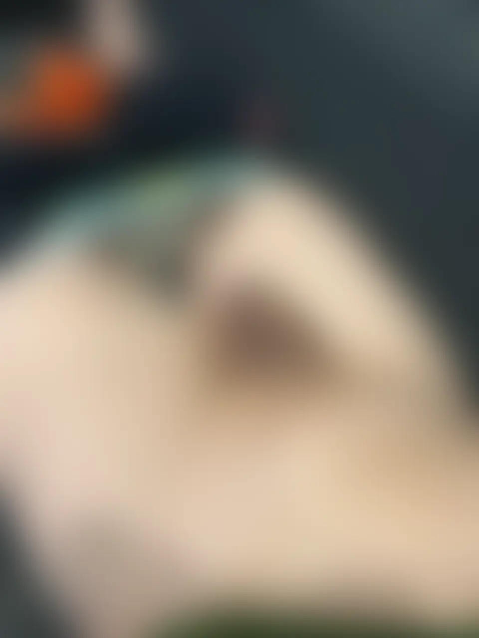 パイチン画像集✨ sample 1
