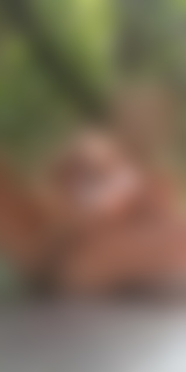 旧Twitter投稿の秘蔵動画②♥ sample 1