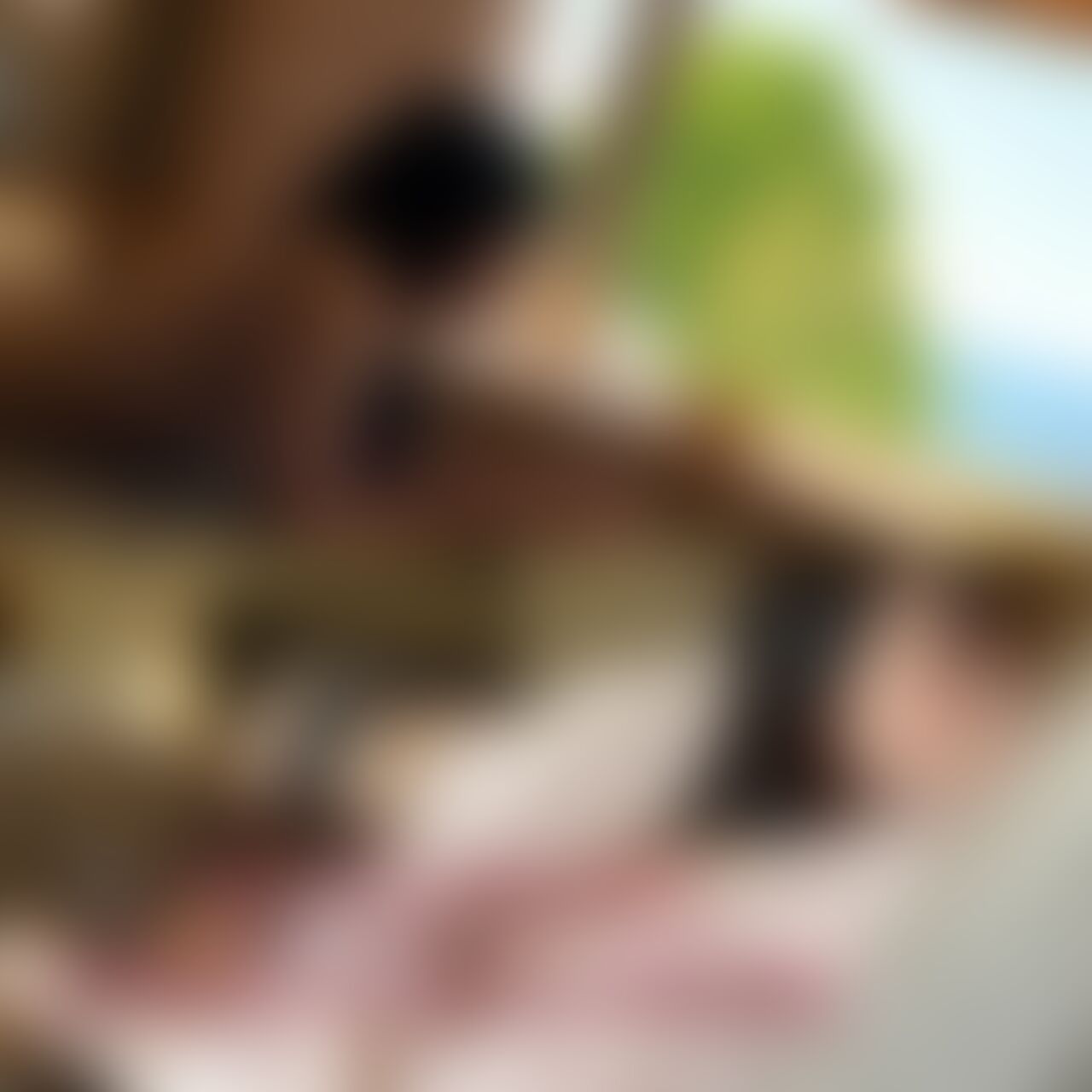 メンエス嬢との寝起きフェラからの絶景えっち
朝からこれに抗える男はいないと思います。。
(目出し) (2/2)