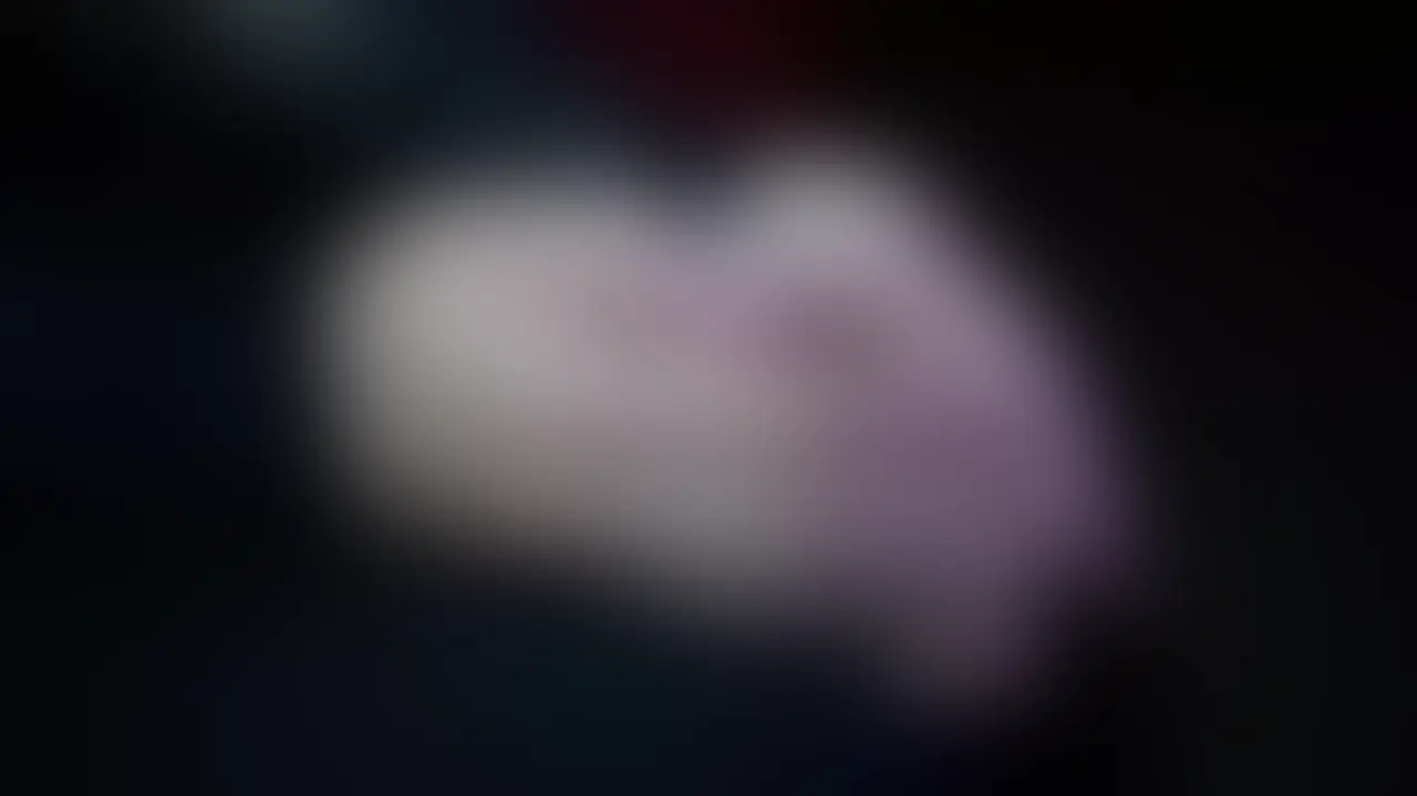 ぶっかけ祭り🍼
今までにないくらいの精子を体全体に浴びながら
どエロいNTR交尾してきちゃった💕 (2/2)