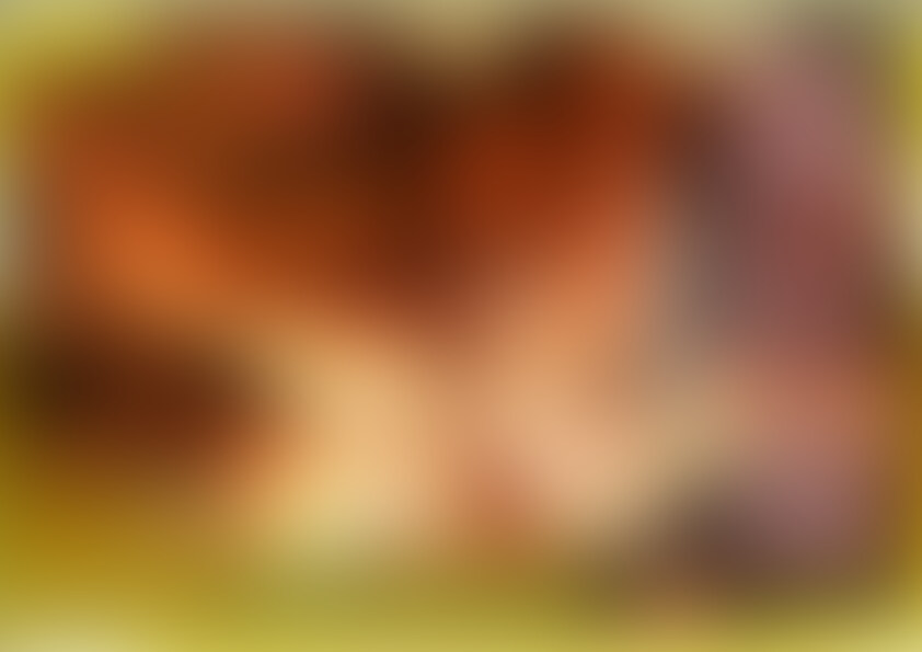 HDresurgence/愚狂権-愚乱篇-/ sample 1