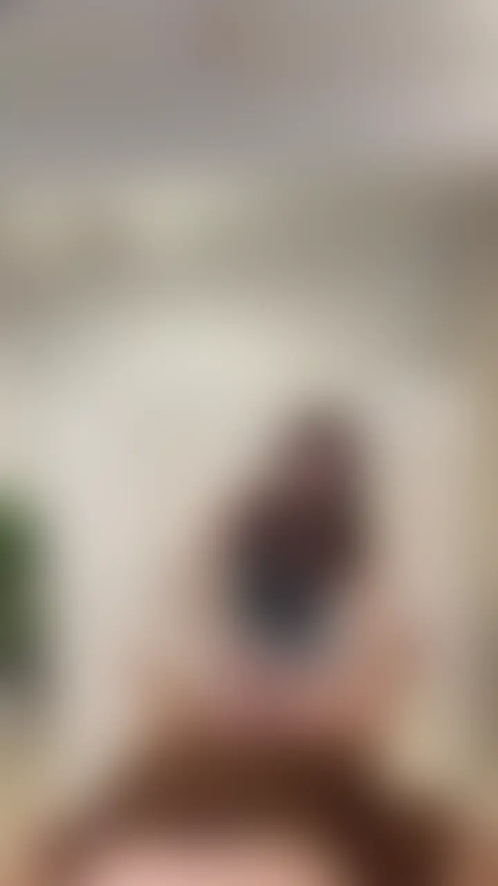 新しい動画です、、、 (2/2)