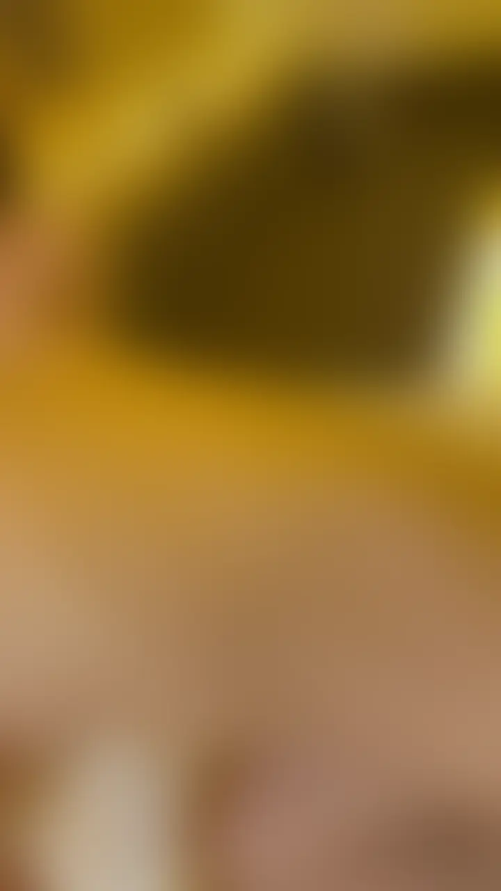 控えめな方の子ずっとSEXしてるのに、マン汁止まらなくてトロトロ。
粘度も量も上がってきて、スケベおマ○コのお手本みたいでした。
代わる代わるチ○ポ入れられるの相当お気に入りっぽくて、感じてる時の顔がTheスケベ、、、
【本編顔出し公開中】
サウナで声かけた控えめ美女に部屋凸したら、布団の中でこっそりオナニー。
恥ずかしがってたのに、親友に見られながら雌顔で感じて、挿れたら一気にトロトロ。
流れで中出しOKさせて、しっかり変態の階段登らせました。 (2/2)
