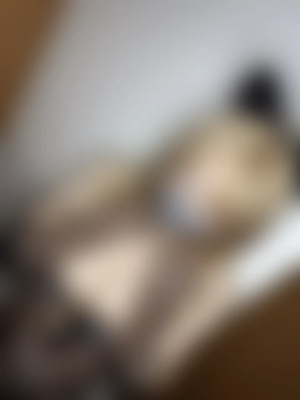 サナダまる「乳首シール初めて貼りました🐯 わたしの乳輪が大きすぎてほぼ隠れてません🥲 恥ずかしいけどみんな引かないでね🫩💜」の投稿サムネイル