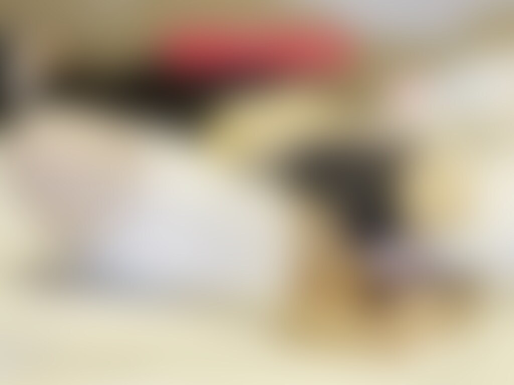 M女包帯電マ○○○

🎀M女包帯電マ○○○
M女の両脚を包帯でグルグル巻いて両手を後ろ手でテーピング○○○束してます。電マをあそこに当たるよう固定したり、下着の中に入れてM女を放置します。(16:30) (2/2)