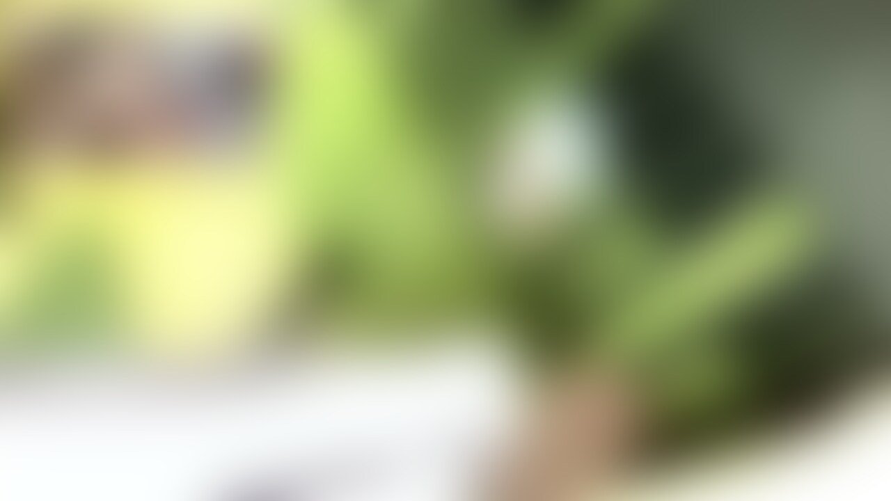 踏み潰しCRUSHのある風景VOL7裸足編(ストッキングも)
今回は演奏家の裸足でエレクトーンペダルになったぬいぐるみを踏み踏み
またまた**さんにはケーキを美しい裸足で踏み踏み、きれいな足裏がどんどん汚れていきます。
おいしそうな生足の裏も存分に見せてくれます。
その後もストッキングで可愛いぬいぐるみペダルをストッキングでベースに合わせて踏み踏み。
モデルさんはキウイを踏み踏み。
別のモデルさんはオムライスを美味しそうに足裏で見せてくれます。
どアップの足裏も多用してくれています。
生足フェチ必見! (2/2)