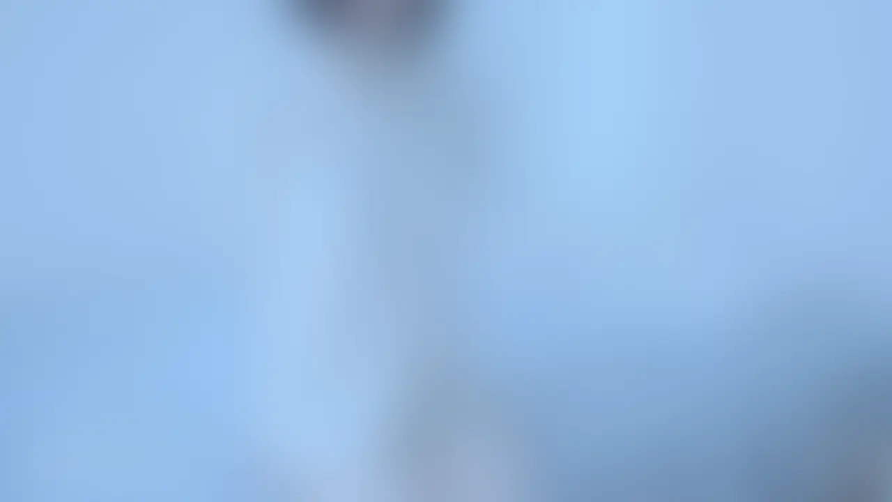 ライトプラン以上向けの動画になります。 (2/2)