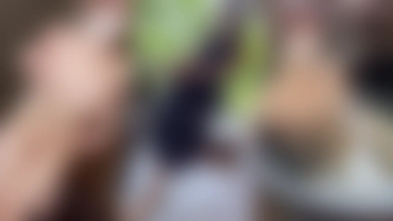 はじめに「いいね♡」を押してから見てもらえると嬉しいです❣️
今回は水着編に続いて、温泉リゾート旅行の露天風呂えちえち編です💓
温泉でまったりいちゃいちゃして、そのまま熱い時間になっちゃいました…🥰
チェックインしてからは、まずテラスで絶景を見ながらのんびり💓
少し休んでからお部屋に戻って、備え付けの露天風呂へ♨️
脱衣してシャワーを浴びてるところから始まるんだけど、
自然光の中でお風呂に入ると、なんだかすごく開放的な気分で…🌿
露天風呂ではおっぱいや乳首をいっぱい触られて、キスもされて、
だんだん身体も気持ちも熱くなってきちゃって…💓
そのまま湯船の中で後ろから挿れられて、
温泉の中で動かれるのがすごくドキドキして…何度も感じちゃいました🥺
最後はそのまま中に出されてしまいました…❣️
温泉で汗も流して少し落ち着いたあと、ベッドで二回戦も…💓
いっぱい触られて、フェラして、そのまま正常位で激しくされちゃって…💦
最後は外に出された精子が私のあそこにかかって、
そのままお掃除までしちゃいました…🥰
プラン登録もぜひお願いします🌟
「いいね♡」やコメント、本当にありがとうございます🥹✨
みなさんの感想がユキの大きなモチベになっています💓
これからもプライベート感満載のハメ撮り動画をどんどんお届けしますので応援よろしくお願いします❣️ (2/2)