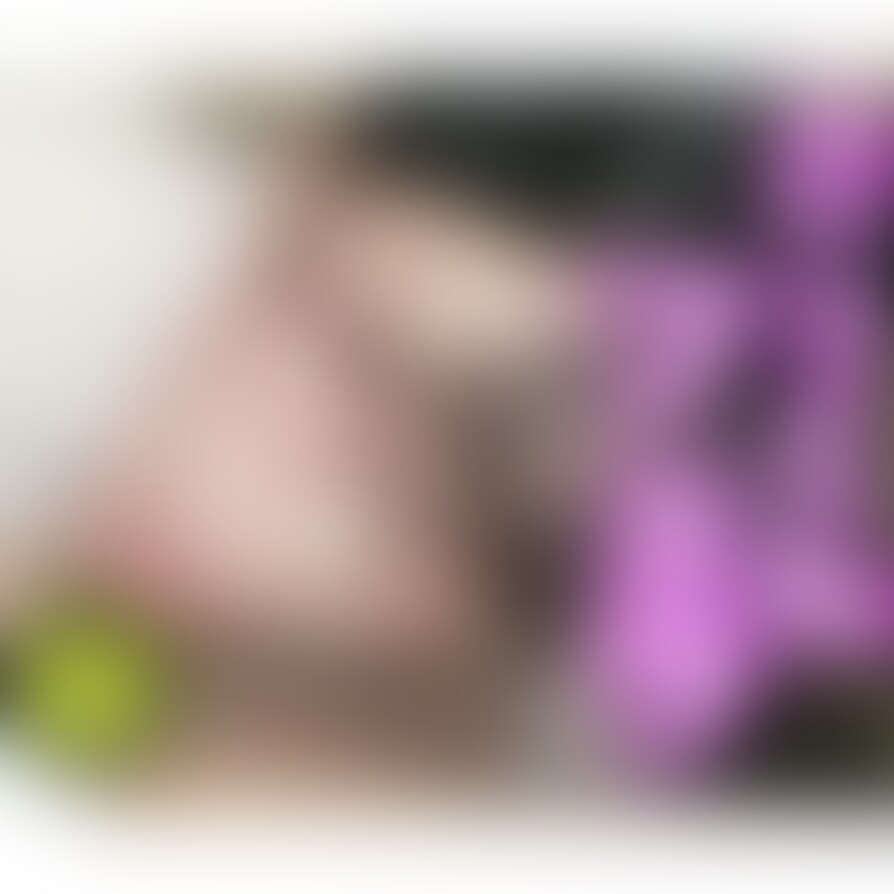 【FREEサンプル動画はこちら】
https://myfans.jp/posts/7dd71356-757a-4389-8274-bfc8fba044f1

「全部飲んであげる！」
伝説の美女「しほ」ちゃんのお口に
大量ザーメンをドピュドピュ注ぎ込む！
超濃厚ごっくんフェラ！！

＜完全個人撮影＞(28分)
※本編完全顔出し
※局部にはモザイクあり

 「私の口マンコ気持ちいい？」
伝説の美女「しほ」ちゃんの
その一言で私の○○○はギンギンになってしまいました。

今回もシャワーに入る前の汚チンポを
しほちゃんがネチョネチョに舐め回してくれる衝撃映像となっております！！

まずはしほちゃんの身体検査から。
本当にとんでもなく綺麗なオマンコとアナルをお持ちで！
オマンコからはネチョッとマン汁も出ていまして
本当にいやらしい・・・・
マン汁を垂れ流しながら私のチンポを舐ってくれているんですね（笑）

さて、早速しほちゃんは
私のパンツの上から○○○を弄びます（笑）

シャワー浴びる前の強烈なニオイを放っている汚チンポに
美味しそうに舌を這わす「しほ」ちゃん！

とにかく舐め方がいやらしい。。。。

「私の口マンコに全部出して！口マンコ○○○して！」
完全に濃厚ザーメンを飲む気マンマンのしほちゃん。。。
ご要望通り
数日溜めてきた濃厚ザーメンを思いっきり口に放出してあげました！

一回グラスにあけてから一気に飲み干すしほちゃん。

またお掃除フェラもめちゃくちゃ気持ち良くて（笑）

どんどん変態になっていく「しほ」ちゃんをご堪能ください！

[注意事項]
・作品に登場する出演者は公的な身分証で○○○以上であることを確認し、撮影の同意もいただいています。
・動画や写真を許可なく2次使用や第3者への譲渡、転載、転売等をすることを固く禁止します。
・無断販売・無断転用をした場合は法的処置をとらせていただき、損害賠償請求を致します。 (2/2)