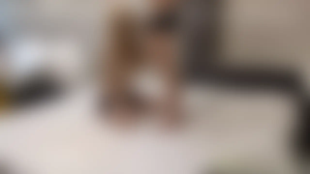 無料で長編動画をお見せします♡
フル動画は有料版へ…❤
ぜひご覧ください❤ (2/2)