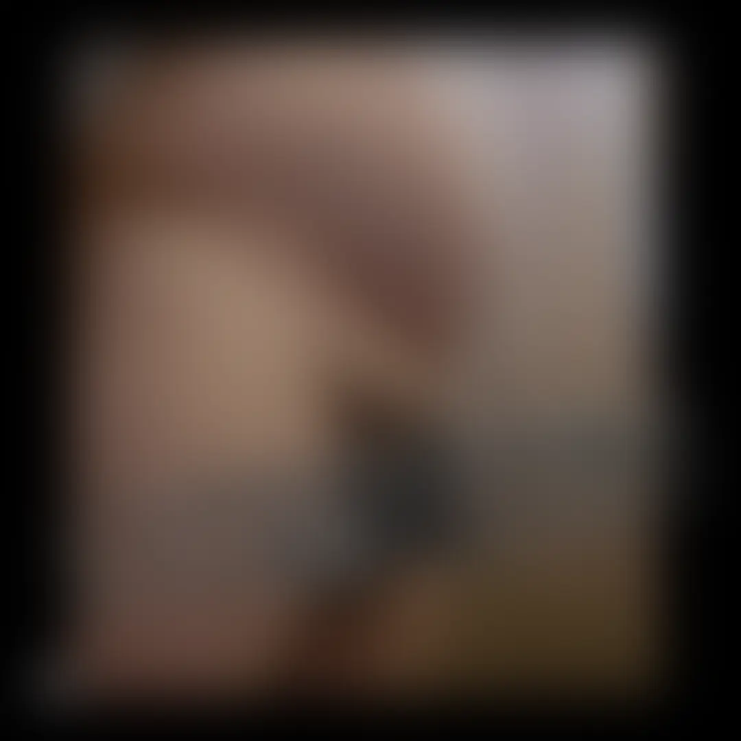 精力旺盛なノンケの毛深いガチデブおやじ sample 1