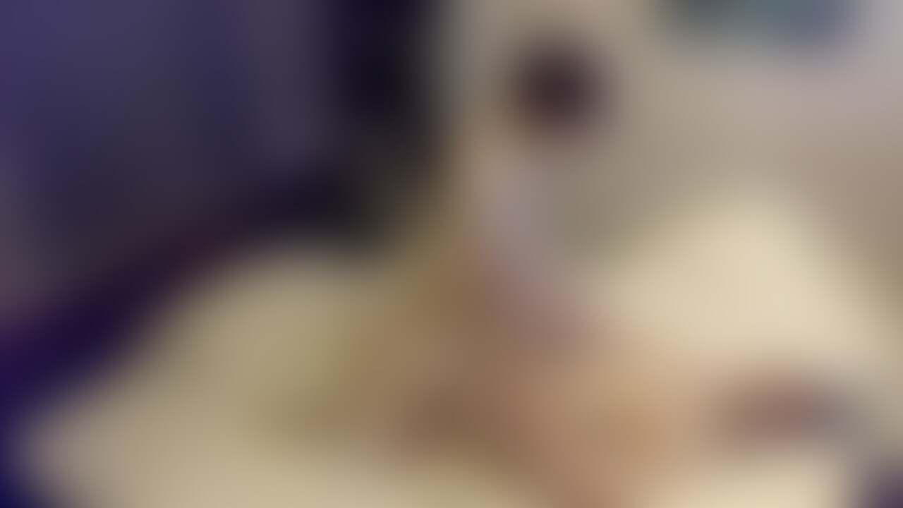 東京SEX番外編　20代前髪系スリムから当て掘り希望でSEX③ sample 1