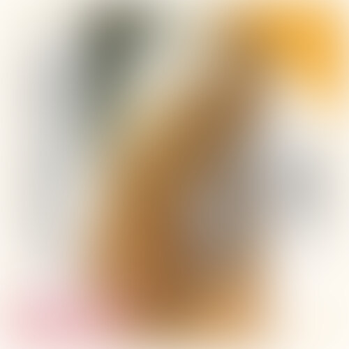 ð¬ãã©ã³èŠèŽçšåç»ð¬
â
No194ã®æ¬ç·š/mainåç»
ãå®å
šçŽ äººãªã¢ã«åç»#194ããã®åã錻ãã¹ã¯OKããŠãããŸããããããŠã€ããŸãããŸããã»ã»ã»ã#100%ãªã¢ã«
â ïžãããŒã¯ããšãæ¬ç·šãã§åãããŠããŸãã
ã»ããŒãžäžéšã®ãâ¯æ¥åãã®è¡šèšã¯äºåäºçŽæçš¿ã«èšå®ããæ¥ã«ã¡ã§ããå
¬éæ¥ã§ã¯ãããŸããã
ã»The notation "⯠days ago" at the bottom of the page is the date set for pre-scheduled posts. It's not the release date.
ââæ®åœ±ç§è©±
https://real-shirouto.com/2024/09/15/no194/
ââåäœè²©å£²
https://myfans.jp/posts/41397a78-b5ff-4cfa-a449-c754351678e6
ââãã©ã³èŠèŽçšãéè«/talkã
https://myfans.jp/posts/3ed67583-ce11-45ee-a961-24aad0d9e442
ââåäœåãšé¢é£åç»ãªã³ã¯ãŸãšãïŒããåç»/Sampleå«ãïŒââ
ââSummary of each work and related video links (including petit videos/Samples) ââ
https://real-shirouto.com/2023/09/26/sample1/
ðœèŠèŽå¯èœãã©ã³ðœ
â«ïžã³ã³ããªãŒãALLïŒDLãã©ã³â«ïž
ðŽãã¬ãã¢ã ALLãã©ã³ðŽ
ðµã¬ã®ã¥ã©ãŒ3980ãã©ã³ðµ
ãŒãŒãŒãŒãŒãŒãŒãŒãŒãŒ
â¡ïžâââäœåäžèЧ
https://adult.contents.âââ.com/users/realist_cos/
â¡ïžmyfansåäœäœåäžèЧ
https://myfans.jp/realist/single_plan_posts
â¡ïžããã°
https://real-shirouto.com
ãŒãŒãŒãŒãŒãŒãŒãŒãŒãŒ
ð®ææ³çãã³ã¡ã³ãã«æžããŠããã ãããšãšãŠãå¬ããã§ãð¥º
ð®ã€ã€ãããã©ããŒçããã ããŸããšããããé 匵ããŸãð¥ºãèŠæã»ã質åçããæ°è»œã«ã¡ãã»ãŒãžããŠãã ããð©
ãŒãŒãŒãŒãŒãŒãŒãŒãŒãŒ
ãã¢ã¶ã€ã¯ã¯ãããã©ãªããèŠãããªãåç»ã
ãããã³ã³ã»ããã«æ®åœ±ãè¡ã£ãŠããŸãã
ãçŽ äººã®å¥³ã®åãšã®âãªã¢ã«âãªäŒè©±ã
ã女ã®åã®âãªã¢ã«âãªè¡šæ
ãããåãã
ã€ããŸãã女ã®åããç²ãããšèšã女ã®åãããããªã«å€§ããã®åããŠã§ããšèšããªãããè
¹ãæŒããèŠæ¶ã®è¡šæ
ãæµ®ãã¹ã女ã®åãã»ã»
å
šãŠãå
ã¿é ããããªã¢ã«ã«æ®åœ±ãããŠãããŸãã
ã€ããŸãã女ã®åããå
šãã€ããªã女ã®åããå
ã¿é ãããªã¢ã«ã§ãã
åäžåºããèš±ããŠããã女ã®åããèš±ããŠãããªã女ã®åãããªã¢ã«ã§ãã
ä»ã®åç»ã§ã¯èŠãããªããããªåç»ãæèããæ®åœ±ãããŠãããŸãã
ãã€ãå¿æŽããã ãããããšãããããŸãã
ãŒãŒãŒãŒãŒãŒãŒãŒãŒãŒ (2/2)