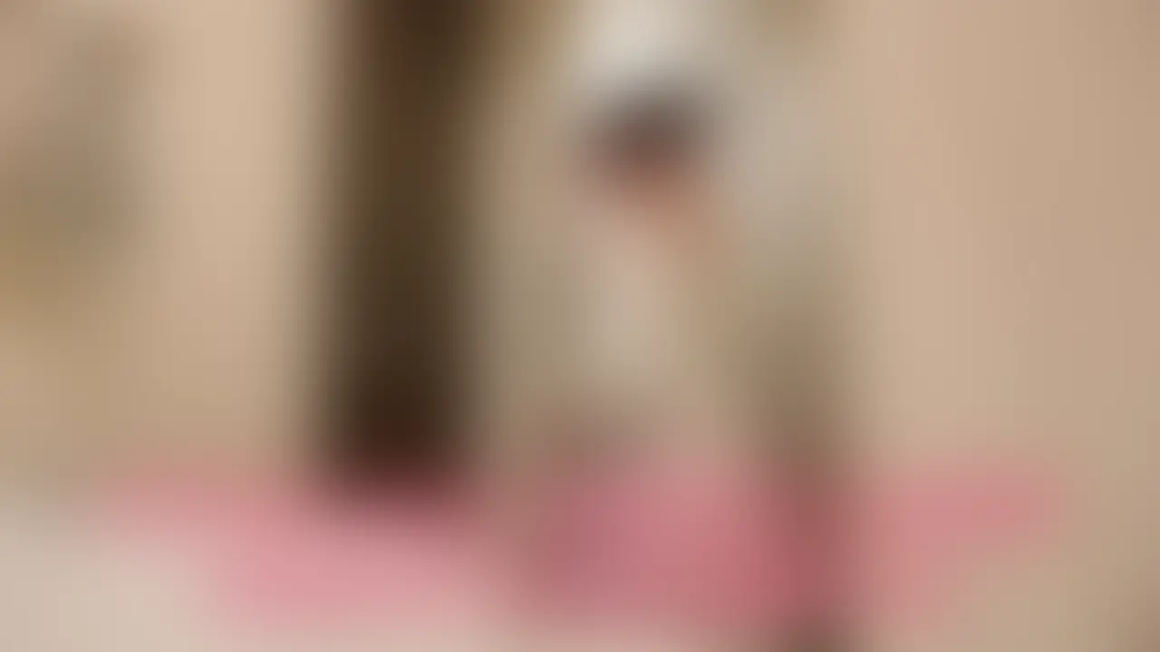 【25歳 146cm 40kg Cカップ】クラスにいたら一番大人しそうな女の子 。男子とは絶対に会話しない、影が薄そうな女子はいませんでしたか？
脱がせて見るといい形のおっぱい。普段は服で体型を隠しているからわからないけどナイスバディ！ 脱毛はしないからアンダーは剛毛、脇の処理も甘い天然記念物のような女の子。
そんな地味子がハメ撮り出演の奇跡。ムッツリで性欲を抑えられない、セックスの良さをまだ知らない地味子が 様々な体位でハメ倒されます。
まるで消え入りそうな か細い声の地味な女の子が ついに開発され大絶叫！そのギャップをご堪能いただければ幸いです。演技やヤラセは一切ない本物の素人、本編はたっぷり3時間51分！ もちろんノーカットです。多彩なアングルのハメ撮りをお楽しみ下さい！

サンプル動画⇒ https://myfans.jp/account/posts/124f946a-149c-4285-9c6c-591069d42a5c (2/2)