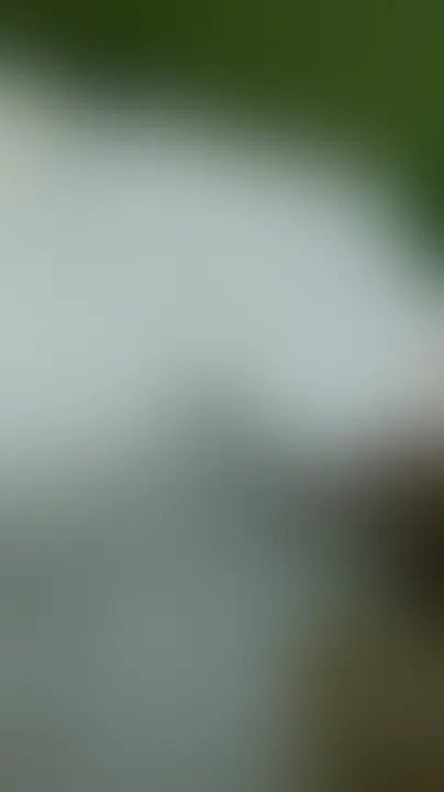 【単品購入希望】動画30秒 sample 1