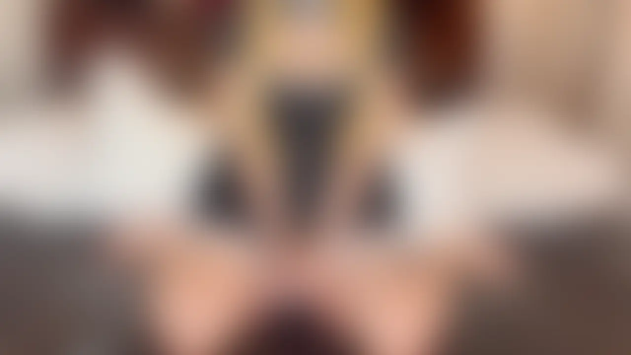 肉感!!爆乳!!デカ尻!! 絶頂SEXでエロボディを最高に堪能✨【九条める】
こんばんめる🌙*゚
九条めるだよ!
パイズリも正常位もバックも、
これ一本で堪能できちゃう💖
高速ピストンで何度も突かれて、
びくびくイってるとこ見せてあげる✨
--------------
💃【X(Twitter)】💃
https://x.com/meru_kuzyou
ーーーーーーーーー注意事項ーーーーーーーー
※ご注文確定後のキャンセル・返品対応はいたしません。
※予告なく商品を変更.削除する可能性がありますので購入後すぐにお使いの端末へ必ずダウンロードをお願いします。
※商品に関するメッセージをいただいても返答しかねますのでご了承ください。
※二次配布・無断転載・その他個人で視聴する目的以外でのご使用はご遠慮ください。 (2/2)