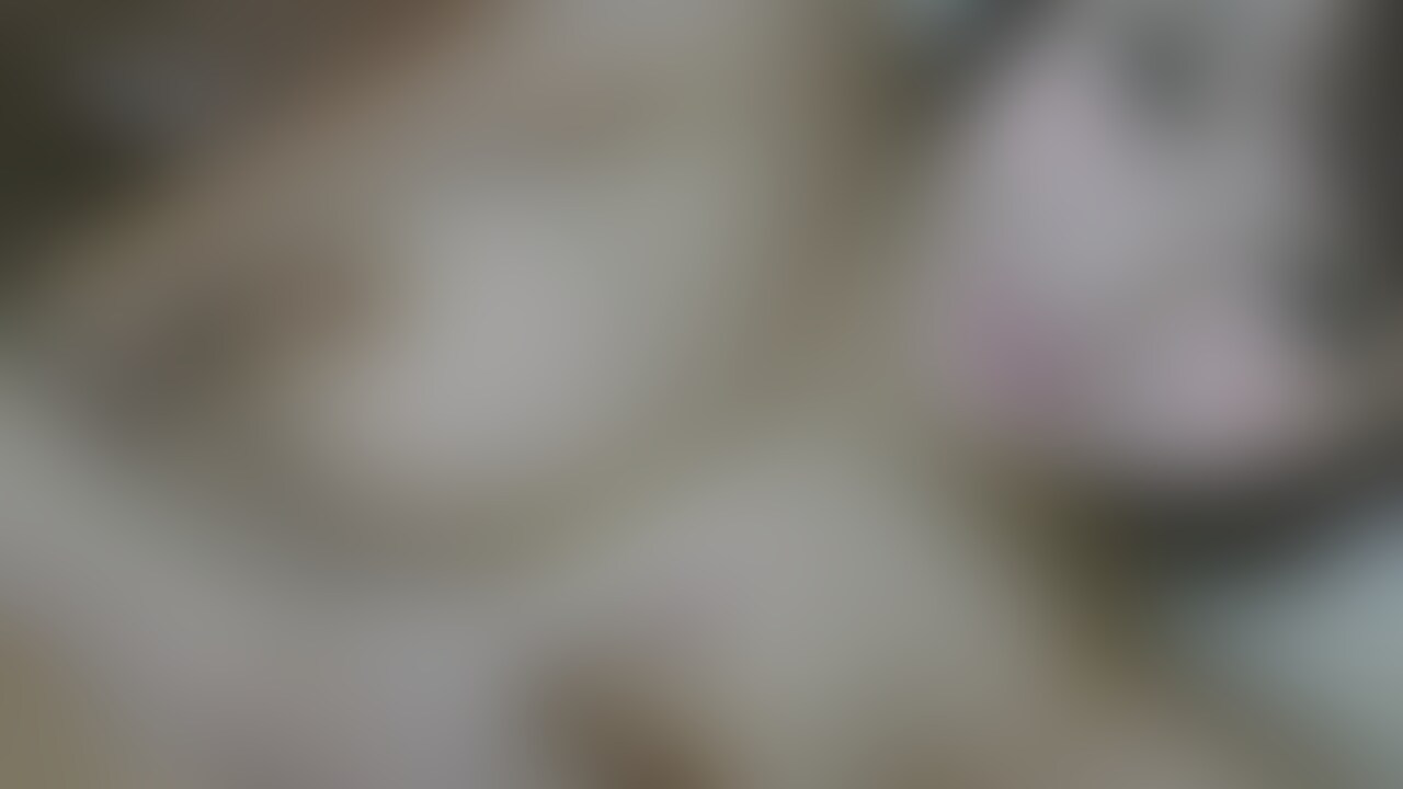 とにかく明るいＨカップのりおちゃん！横からみたおっぱいは群を抜いていて破壊力抜群のパイズリができます(笑)そんなりおちゃんを紹介しているサイトです！
和気あいあいとした楽しそうな雰囲気で、可愛い笑顔でチンポを扱い、責めるのも好きな小悪魔タイプ！！いやらしいキスも武器の一つのようです！
下着の上にTシャツだけでタクシーに乗って来ちゃうりおちゃん！出会ったらすぐに興奮しちゃって始まってますが、その理由が分かる作品となっております！


時間：54分10秒 (2/2)