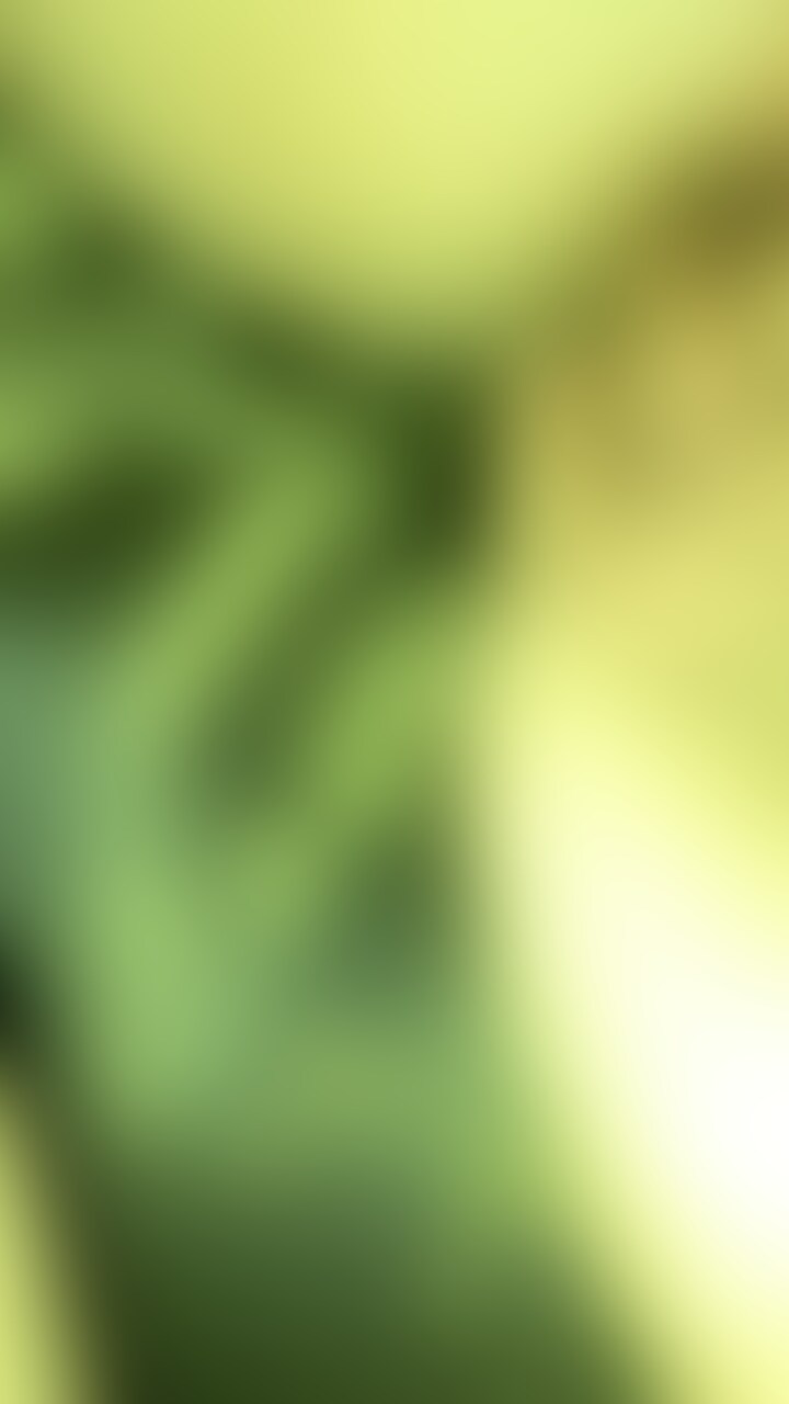 halu君とのハメ撮り載せます🍀*゜ sample 1