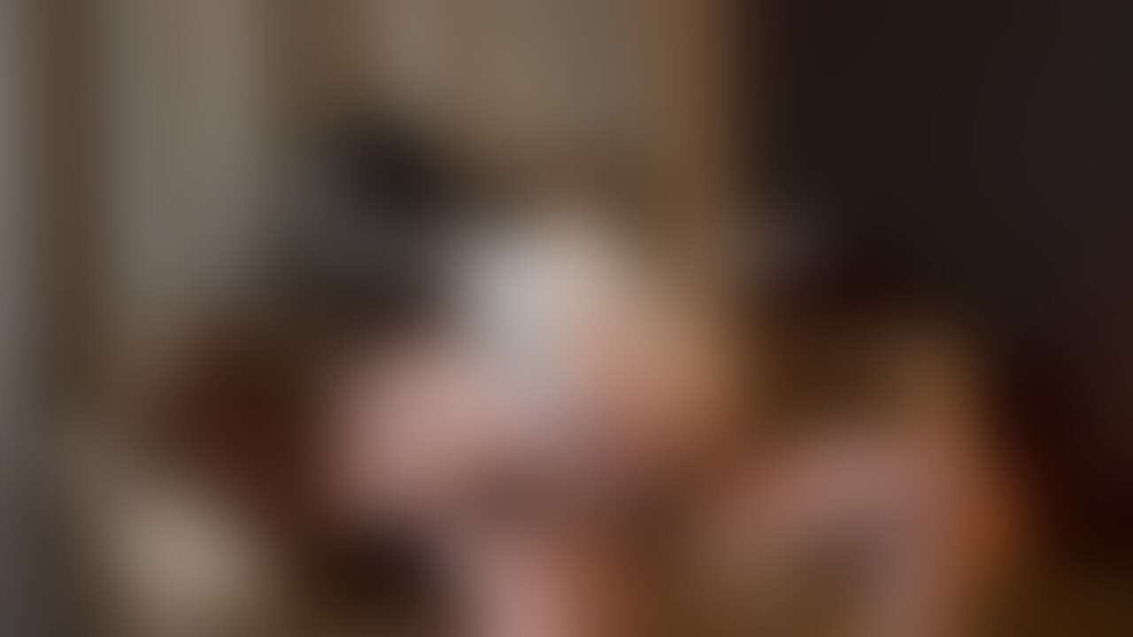 白猫🤍 part.3 (2/2)