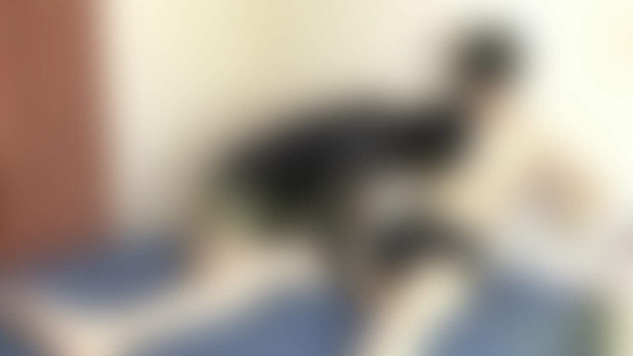 ジュノン系イケメン、ノンケ大学生を捕まえフェラさせてもらう♪ sample 1