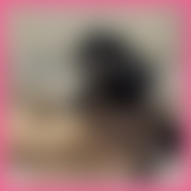 顔面騎乗手コキ寸止め!亀頭スティックwww (2/2)