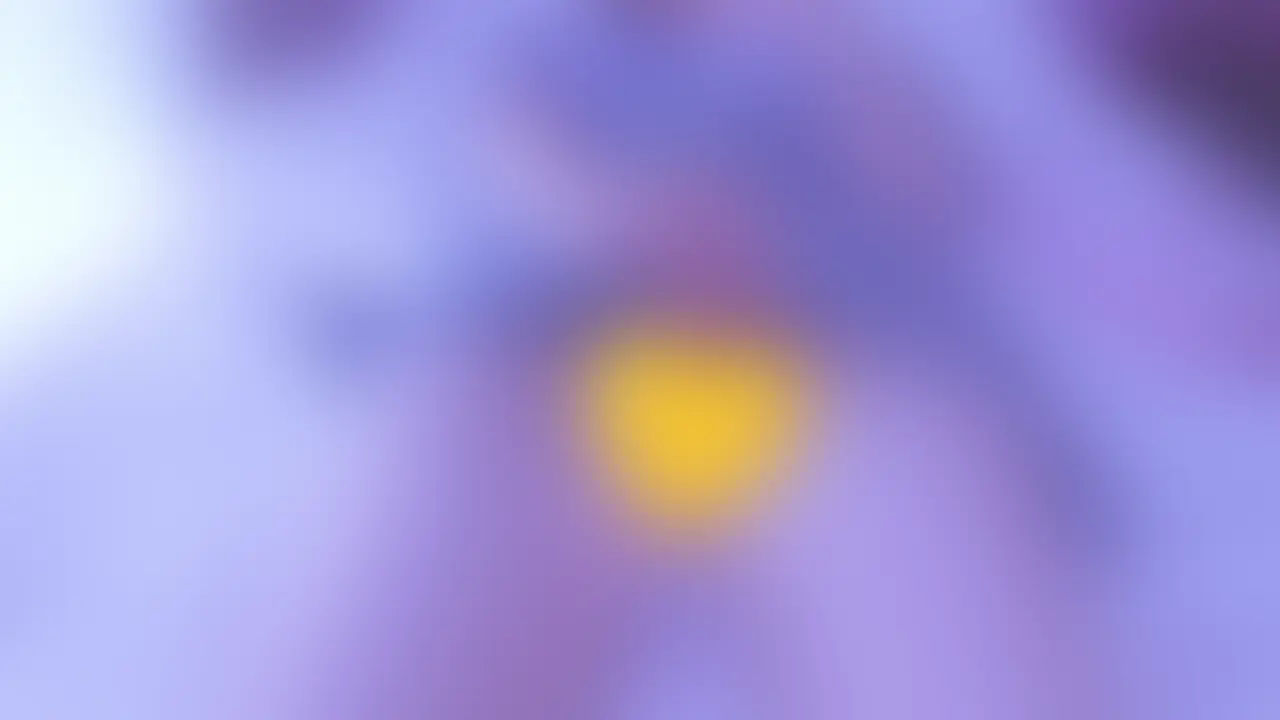 ごろんしたまましちゃいました💕 (2/2)