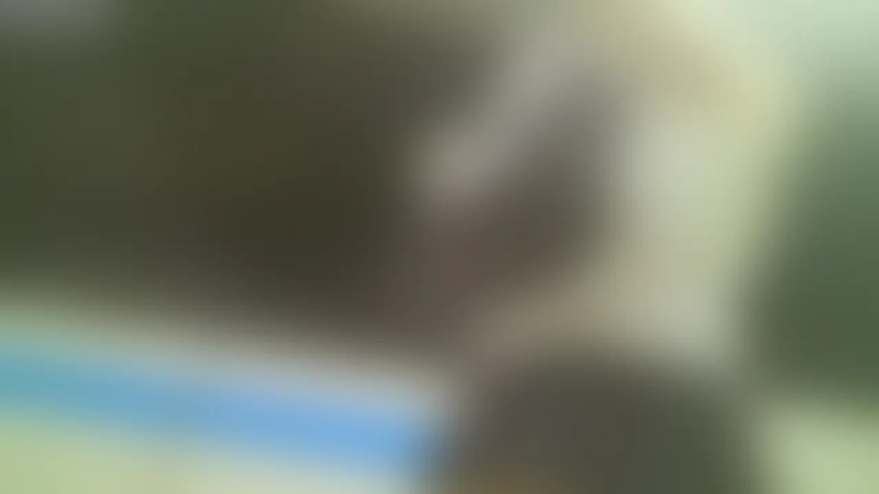 【86人目】 純白
ギャルの赤チェックの純白がたまりませんでした
タグ パンチラ ミニスカ お尻 下着 制服 素人 ギャル (2/2)