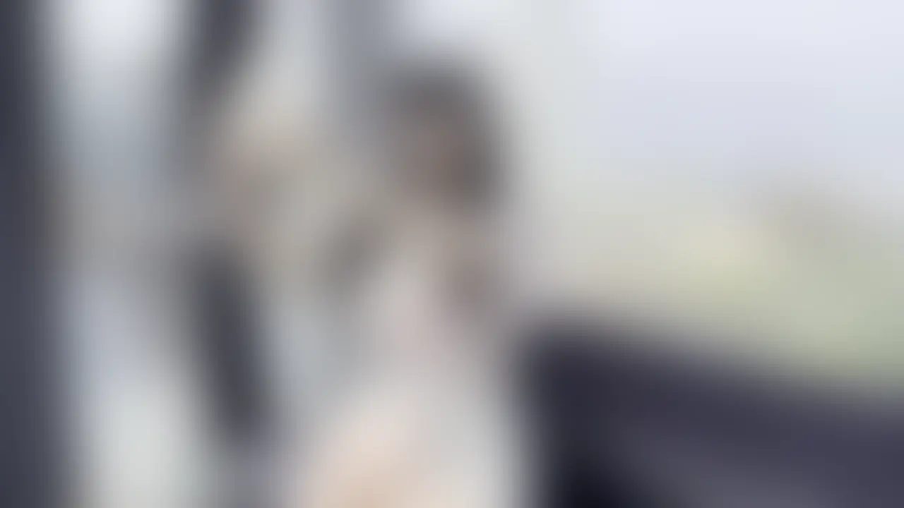 セフレ以上恋人未満の関係の人とデート行くと毎回中出しセックスしてしまいます…。 (2/2)