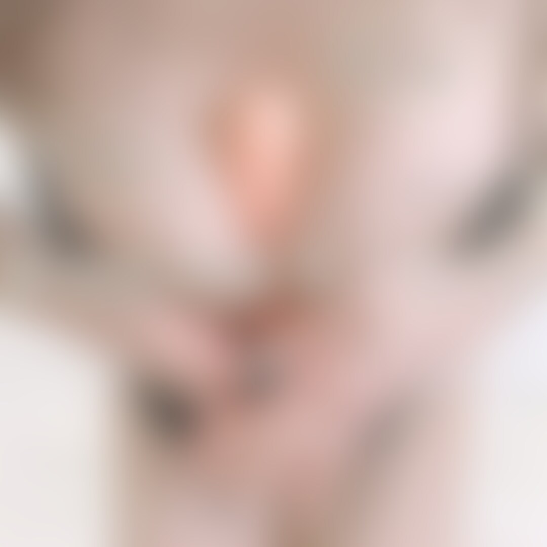 右上のいいね♡も押してくれたらうれしいな🥺
❤️みおにゃがあなたのあそこ責めちゃいます…❤️
手コキ、足コキ、パイズリ、
どれが好き…?
ドMなみおにゃだけどたまには責めたい!
いっぱい気持ちよくなってね☺️ (2/2)