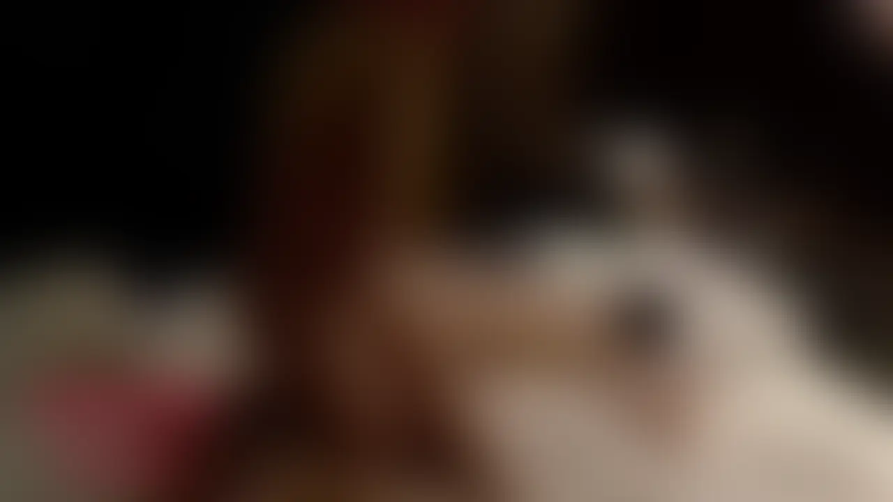 イケメン20代スジ筋ノンケと子作りSEX④ sample 1