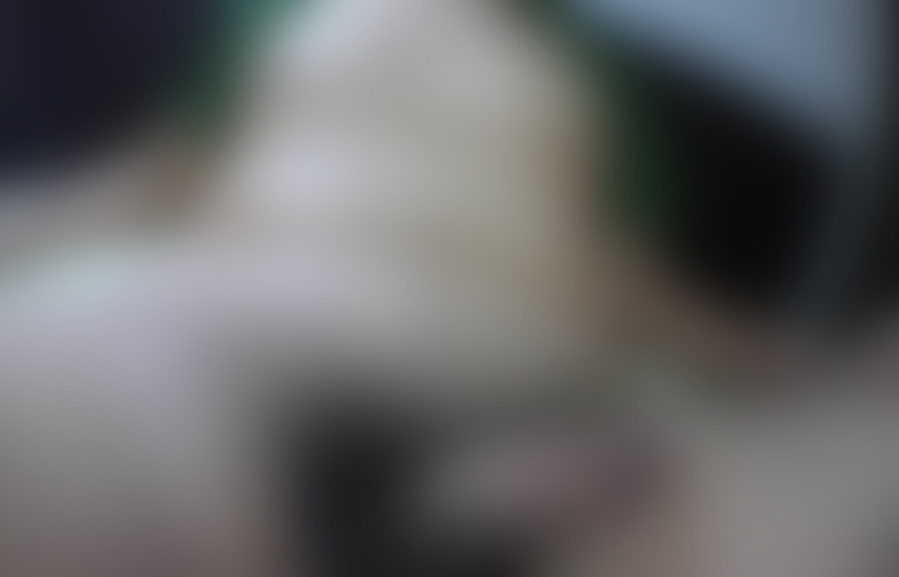 ご無沙汰ざこちんこの乳首オナニー。乳首いじってちんこ起動。 sample 1