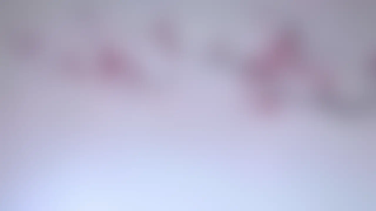 【初コラボ!!】 sample 1