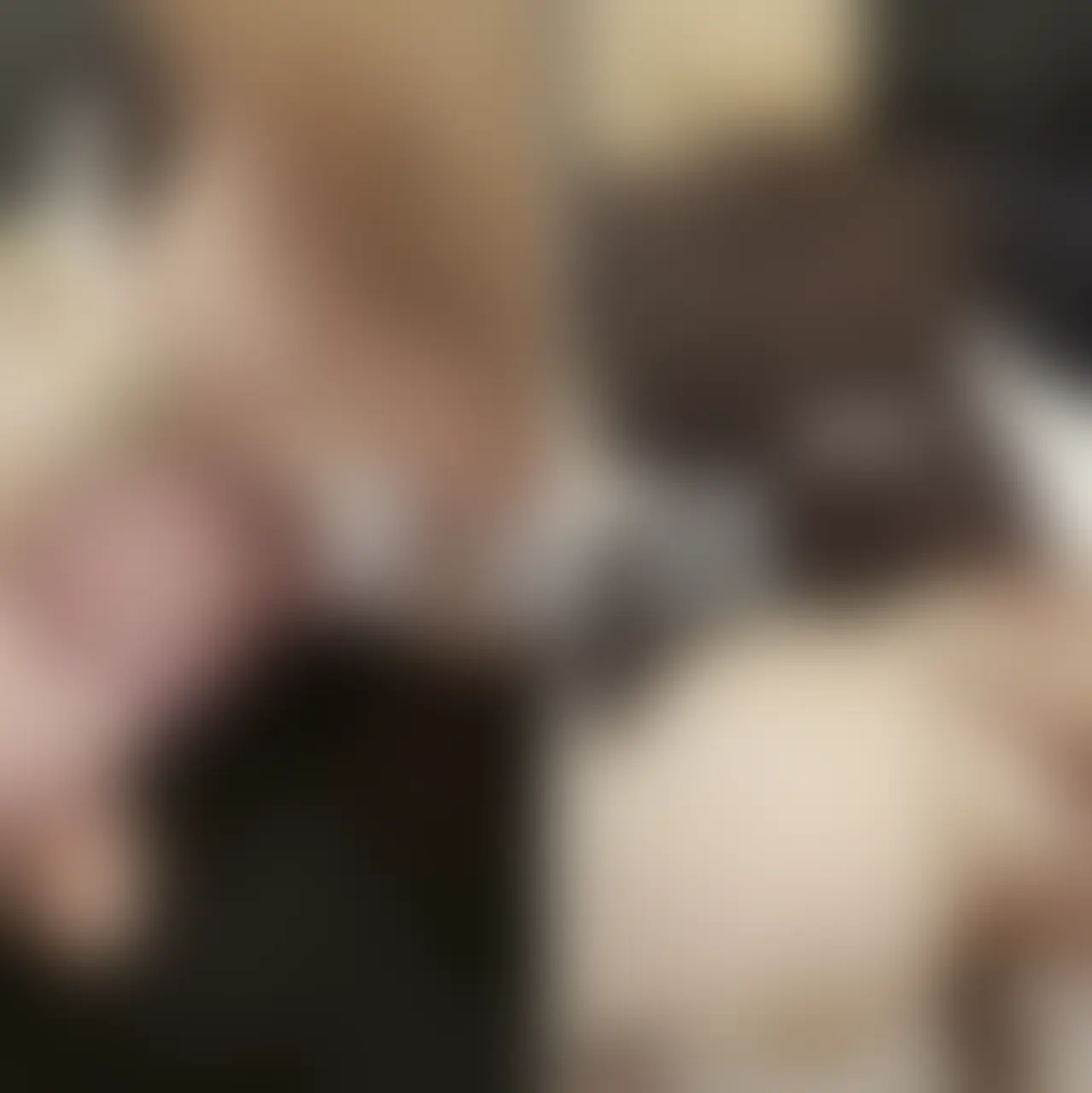 フェラしてる時ヨダレ垂れてる🫣 (2/2)
