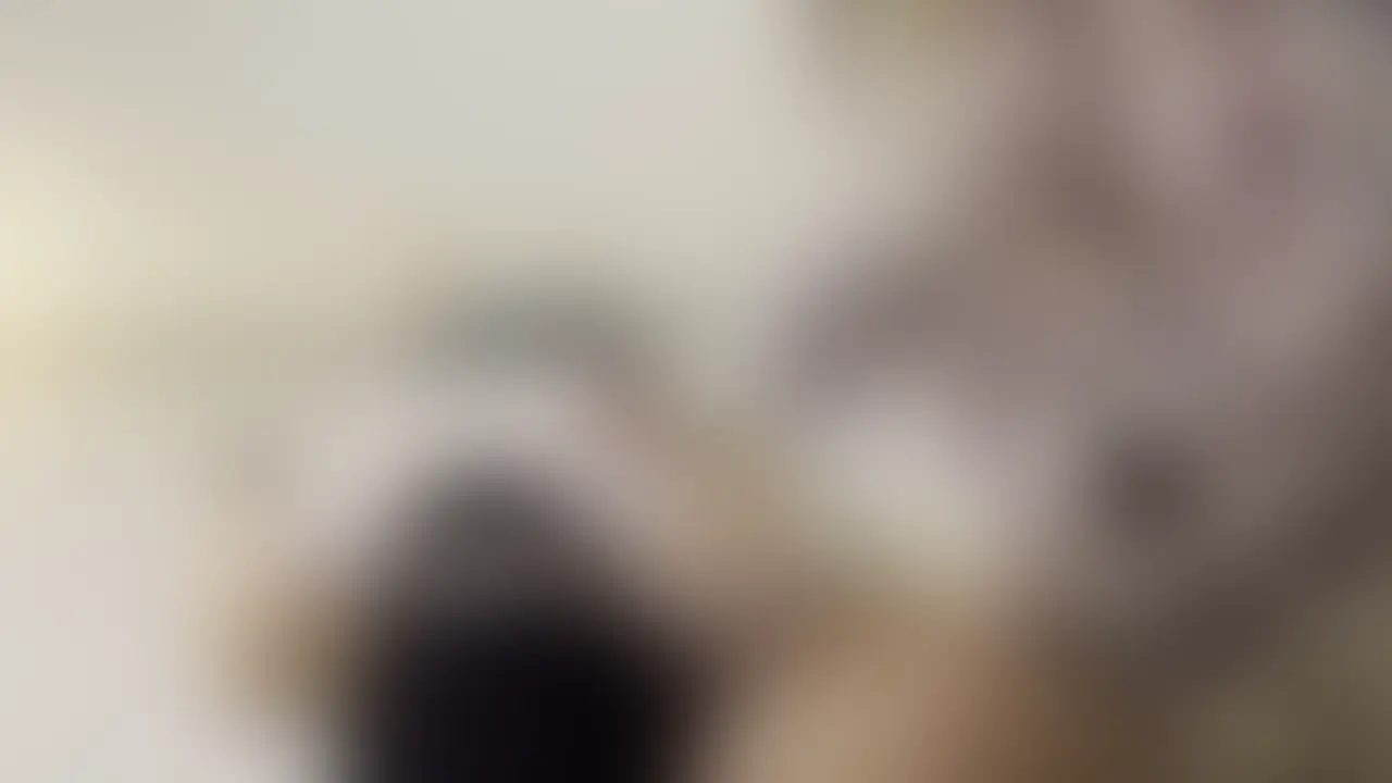 おっぱい封印と顔面騎乗 (2/2)