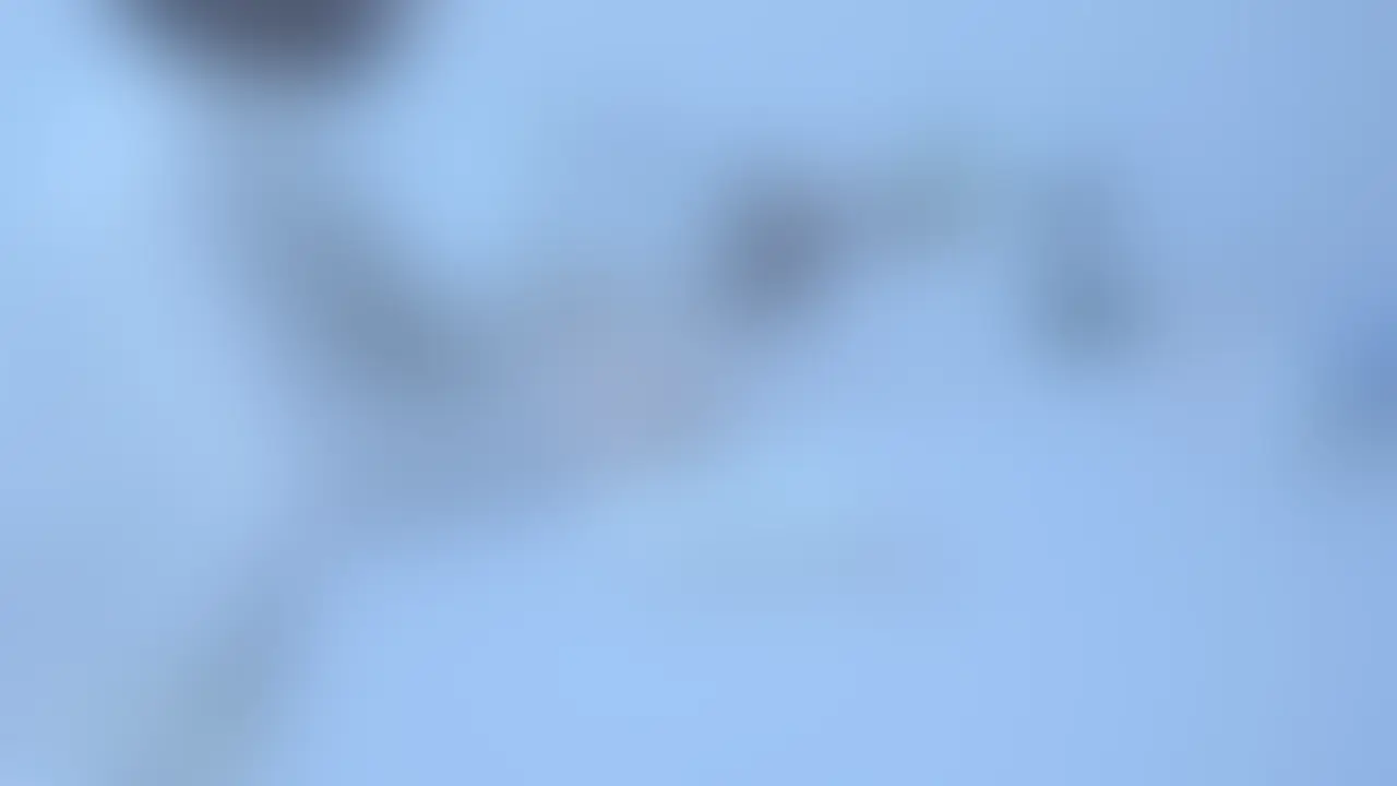 ライトプラン以上向けの動画になります。 (2/2)