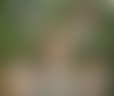 本日の彼女、可愛い着物を着ての登場です。
ずっと着たかった着物みたいで上機嫌です。
この日は、メイクもバッチリ決めて完全体で撮影に臨みました。
フェラ中も前かがみになるのが帯が邪魔をして苦しいって言いながらジュボジュボとしゃぶり、パンティを脱いでモジャモジャのまん毛を掻き分け「生挿入」です。
いつも中出ししてるので騎乗位を終えてフェラで口内射精し「ごっくん」してもらいました。
いつもいつも楽しく、笑顔を振りまいてくれてる「彼女」に感謝です‼
【動画詳細】
動画時間:18:13
フレーム:1920×1080(HD)
ビットレート:4998kbps
サ イ ズ:703MB
ファイル形式:MP4
【注意事項】
※出演者は○○○以上であることを身分証で確認しております。
※法律や条例に違反することは一切行っておりません。
※本作品は、公開する事を目的に作られたオリジナル動画です。
※二次使用、譲渡、転載、転売等は禁止します。 (2/2)