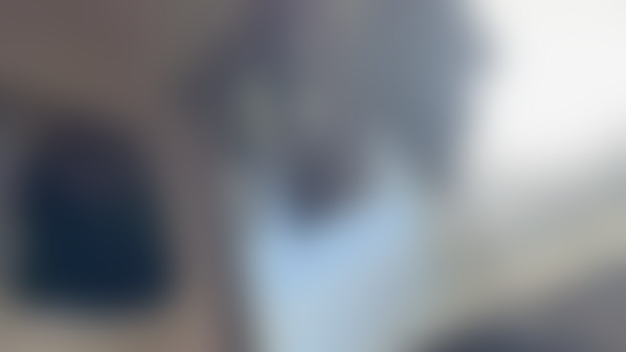 雑にチンポをいじる熊。 sample 1