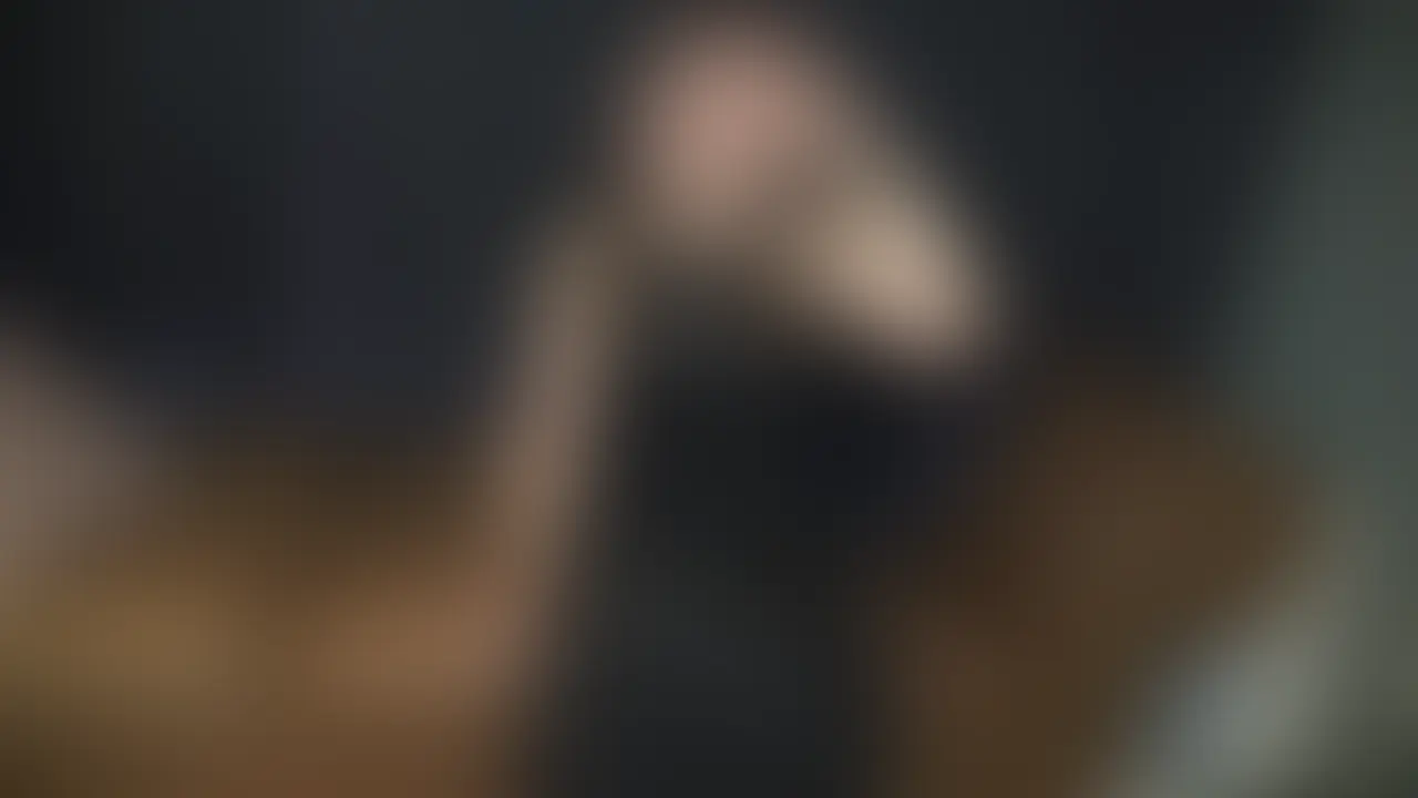 ヤリ〇ン変態OLに生中2発した時の密会
⚠️好きぴにバレたらマズイらしいので期間限定⚠️
※単品購入で永久保存することをオススメします
ーーーーーーーーーーーーーーーーーーーーーー
普段は、アプリを駆使してイケメン優秀でかちんぽを食べまくってるOLお姉さんが人生で初めて複数を体験してみたいということで会いに来てくれました。因みに、好きぴは2人いるらしい
ヤリ〇ンなだけあって、性欲も変態度も人一倍。いや、それ以上だ、、オホ声で喘ぎながら、上も下もオナホ扱いされまくっててヤバすぎた
綺麗系の見た目とは裏腹に、ヒップ90overのデカ尻な神尻スタイル。いつも中出しばっかりしてるらしいので、もちろん子宮の奥に2連続中出し
無事、複数ハマったらしいw
オホ声、デカ尻、変態好きの方には是非、見て欲しいです🍌 (2/2)