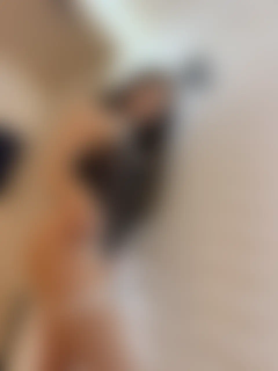 みあ「バニーちゃんの衣装を着て撮影してきました〜💕📷 今回はお気に入りの写真を10枚選んで投稿したよ！ 作り込んだポーズではなく、ふとした瞬間や」の投稿サムネイル