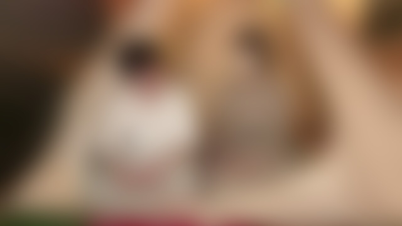 ゆみです。

新しいセフレくんとテントの中で

撮っちゃった💦💦

非日常感がヤバくていつも以上に感じてちゃう。

新しいセフレくんとの相性もバッチリです😅 (2/2)