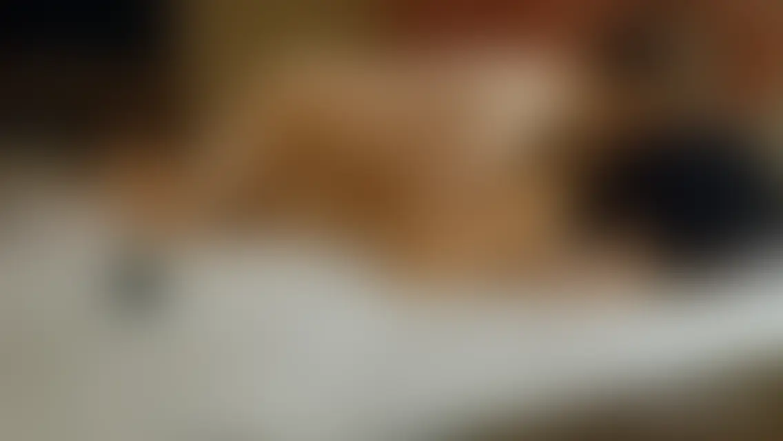【ガン掘り総集編③】 sample 1