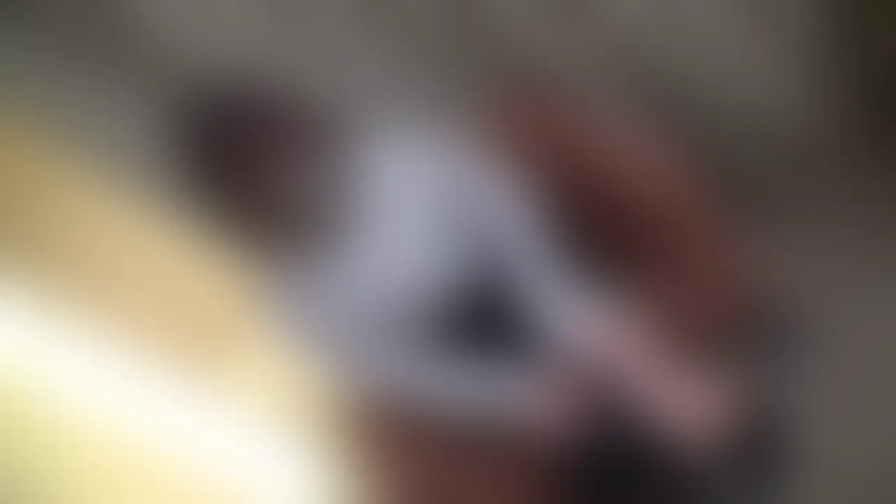 限定特別価格 [PR]【♡いいね】と【保存】を押してから動画をご覧頂くと…🎁✨ https://myfans.jp/posts/4202ff70-64ae-4a95-b523-3356e8bbe3ec 素人ならではのエロさを感じて下さい。 いつでも募集してますのでＤＭ下さい。 ＃素人 ＃ハメ撮り ＃個撮 ＃フェラ ＃騎乗位 ＃美人 #美尻 #高画質426 (2/2)