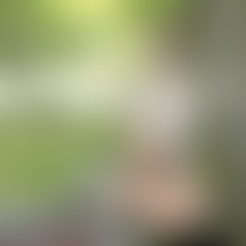 和歌山 野湯 その2
潟のほとりの廃墟から流れ出るぬる湯。
行った時は中の方はほぼ出てなかったが外はたっぷり。
若干の潟臭混じるお湯は33度ほどで、ややとろみがあるような?
🦀vsムカデが足元で繰り広げられてて若干気が気でなかったw
お尻のタグは御愛嬌w (2/2)