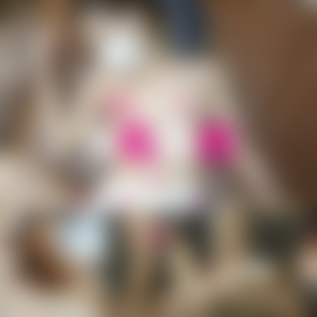 小動物系の美尻ちっぱいな女の子が入店決定!ガールズバーと掛け持ち希望の小さな女の子は言われるがまま何でも受け入れる良い子
https://myfans.jp/posts/962e84cd-384c-4724-bcd7-4d825d4e9baf/
お客様のご希望により色々なタイプのセラピストがお店では求められます。
お○○○さん系が良いとか、おっぱいが大きい子がいいなど、さまざまですが、実は結構ニーズが高いのが小動物系の小さいセラピストです。
今回は通常応募から小動物系の小さな女の子が面接に来てくれました。
聞くところによると小さい胸がコンプレックスとのことでしたが、おじさんから言わせてもらうと、ちっぱいは大好物w
ワンピースへ着替え宣材写真の自撮りポーズをいくつか撮影してもらう中で、お尻をクィッと上げて四つん這いポーズになったその引き締まった美尻を見た瞬間に実はもうフルボッキ状態でした。
早くこの美尻とちっぱいを直接見たい衝動に駆られてセクハラ研修のスタートです♪
プラン未加入でもいいね❤️とブクマ📝でランダムに未公開動画をプレゼント!このチャンスお見逃しなく!
いつも応援ありがとうございます。
《お願い》
いいね/お気に入り(ハート)登録と保存ボタンを押してからご視聴お願い致します
Xやライブ配信もやっていますので、ぜひお時間あう時は見にきてください
プロフィール欄からお気にいいり登録/通知設定をお願いいたします。
総合サイト▶︎ https://pont.co/u/akutoku_scout (2/2)